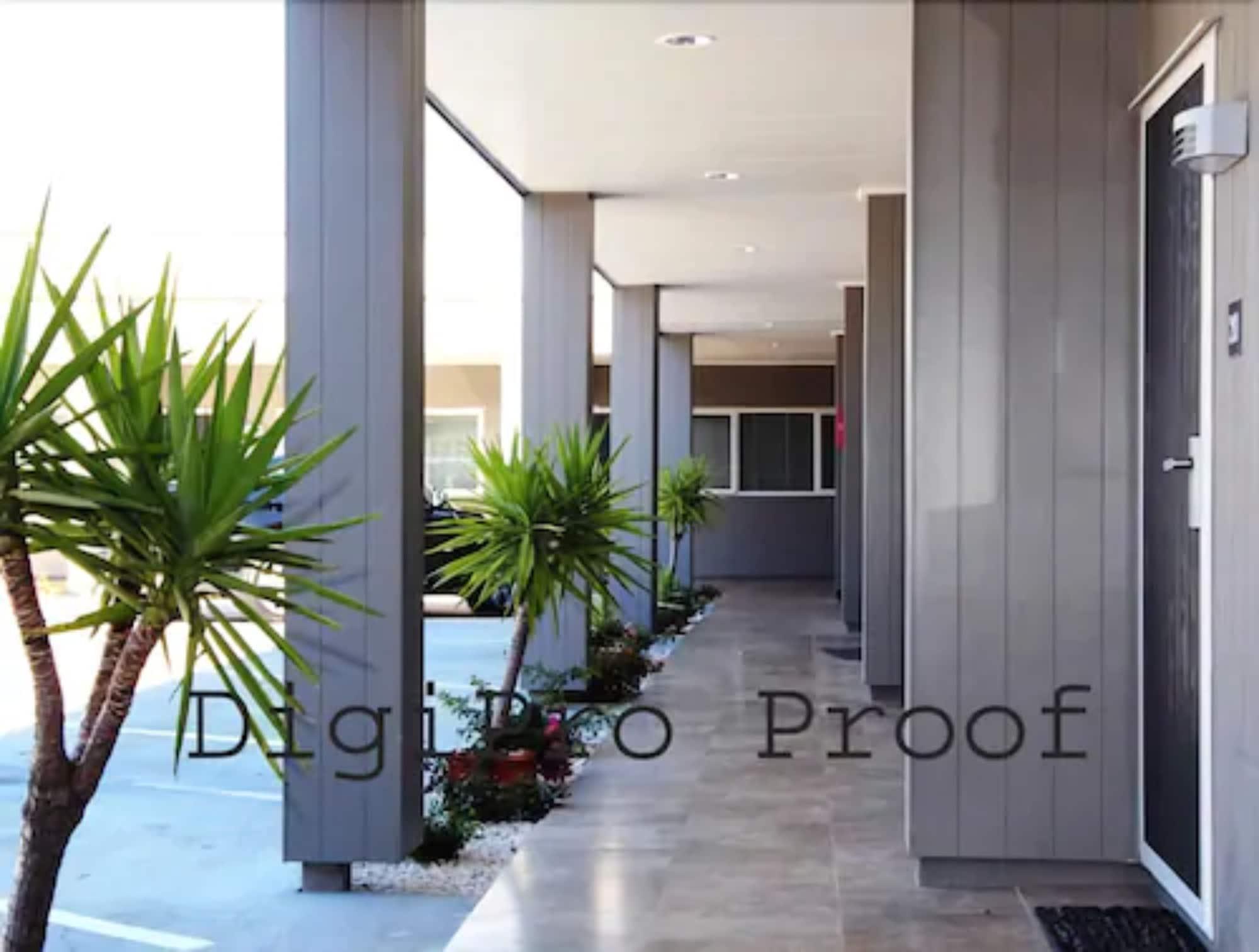 Vista Lobby Auckland Phoenix Palm