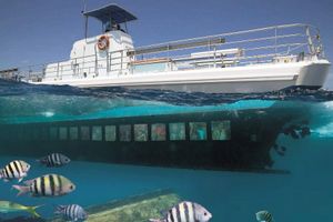 Actividad - Semisubmarino Seaworld Explorer