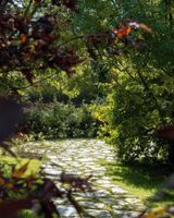 Alojamiento - SNÖ Porta das Fragas