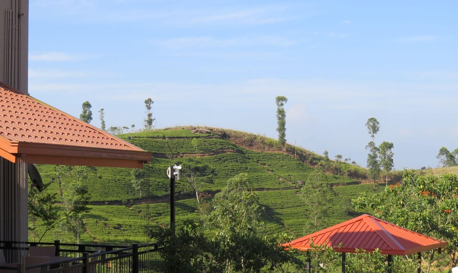 Vista Exterior The Harrington Heritage Bungalow