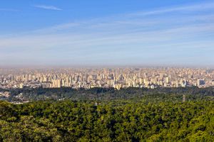 Actividad - Tour Ecológico por el Parque Estatal Cantareira
