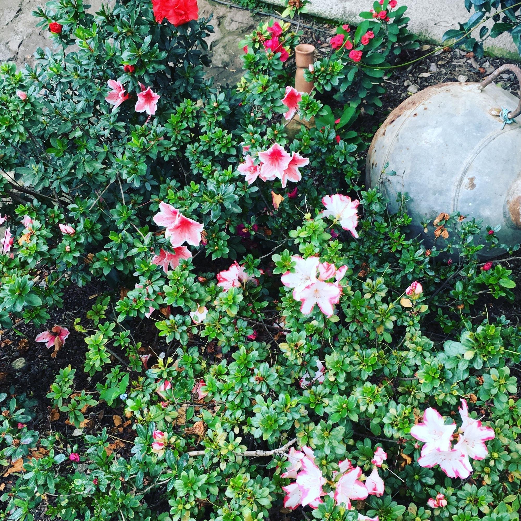 Vista Lobby Hostal Las Marías