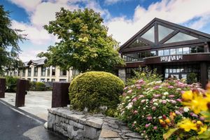 Alojamiento - Westport Woods Hotel & Spa