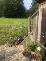 Alojamiento - Rosebank Bed & Breakfast