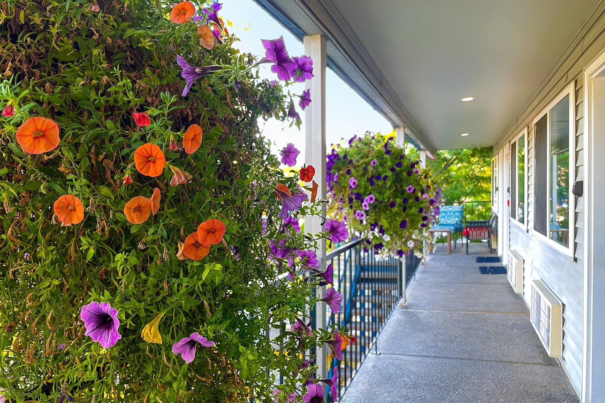 Vista Exterior Resort City Inn Coeur d'Alene