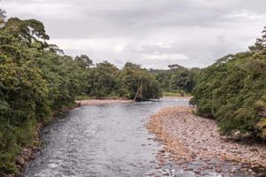 Actividad - Tour de aventura en Sarapiquí