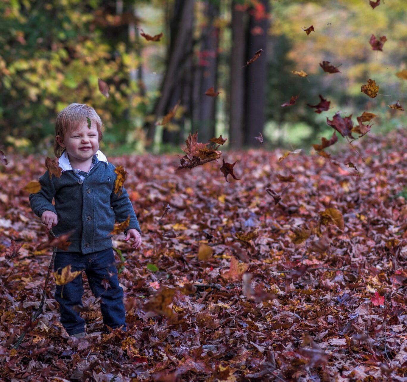 Vista Exterior Inn at Valley Farms