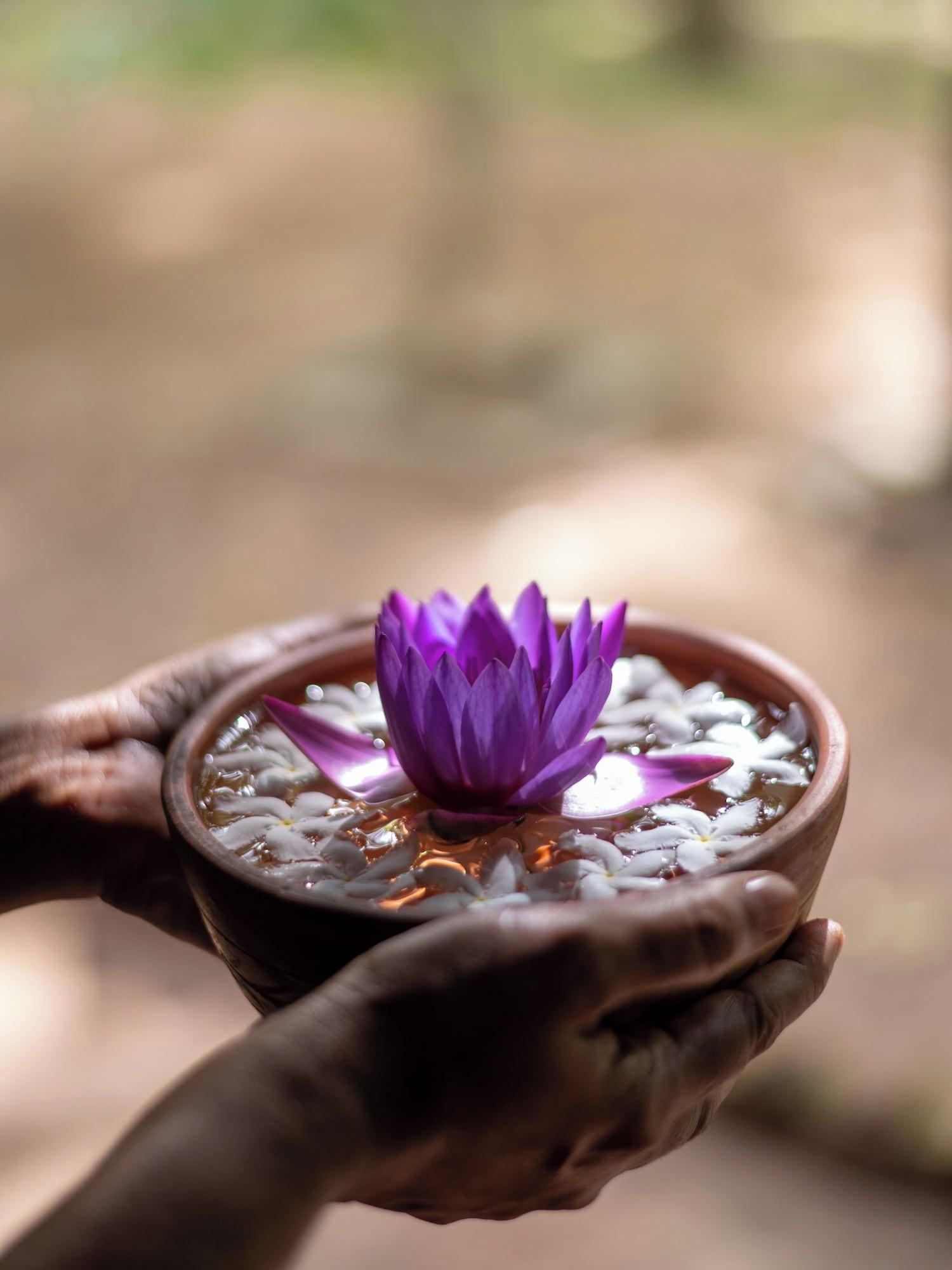 Spa Sigiriya Village
