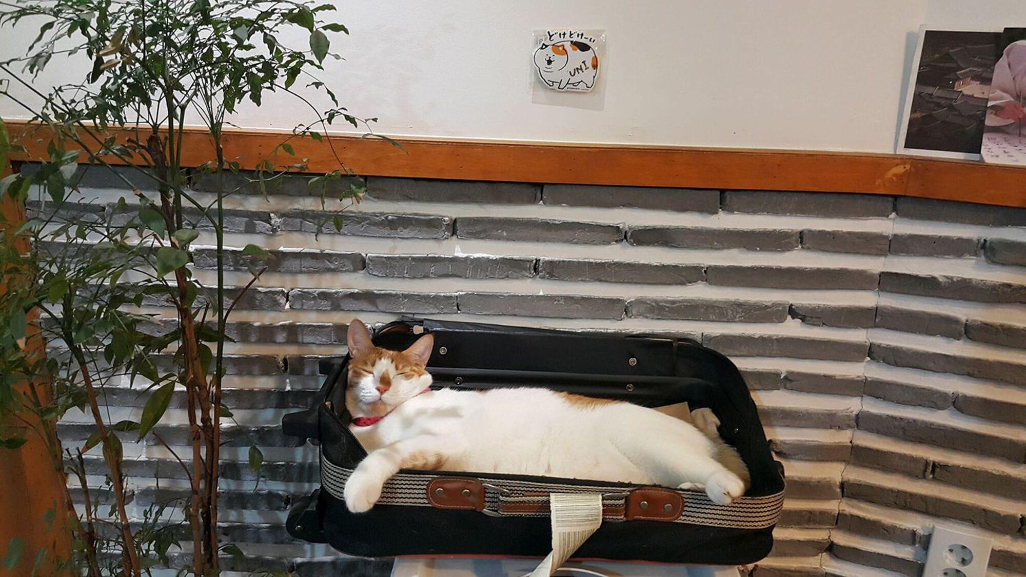 Vista Lobby INSADONG hostel