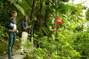 Actividad - Parque Rainforest Adventures Braulio Carrillo - Tour 6 en 1
