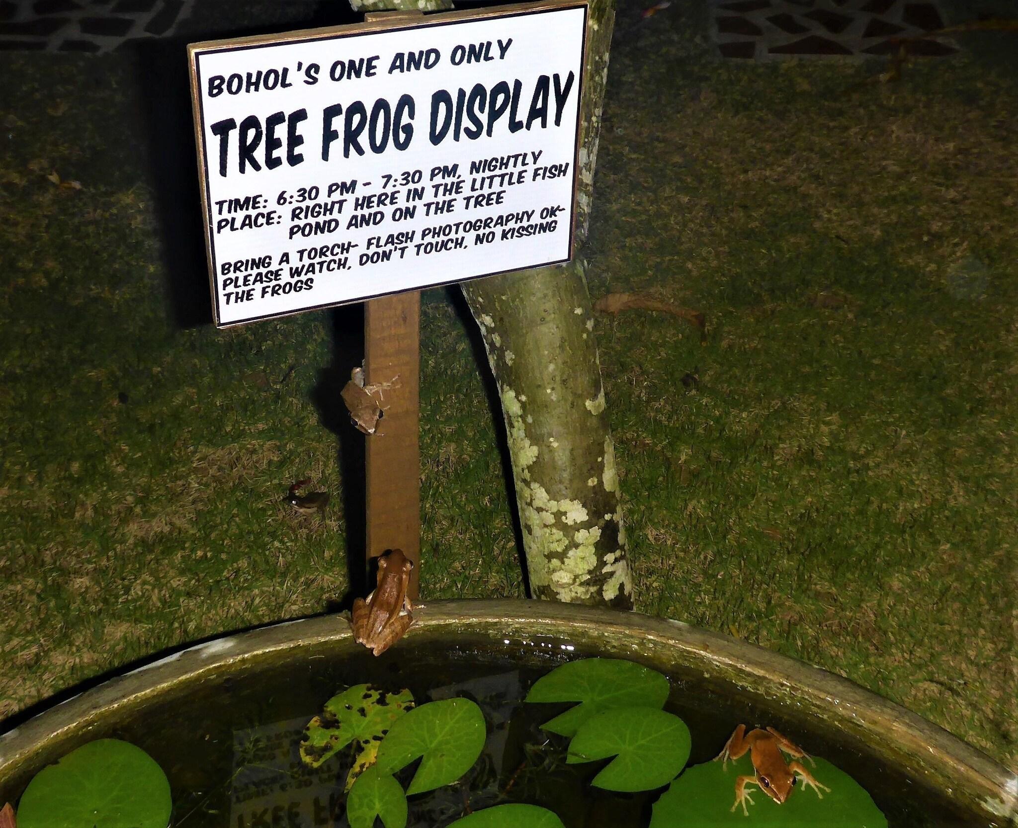 Vista Exterior Island View Beachfront Resort