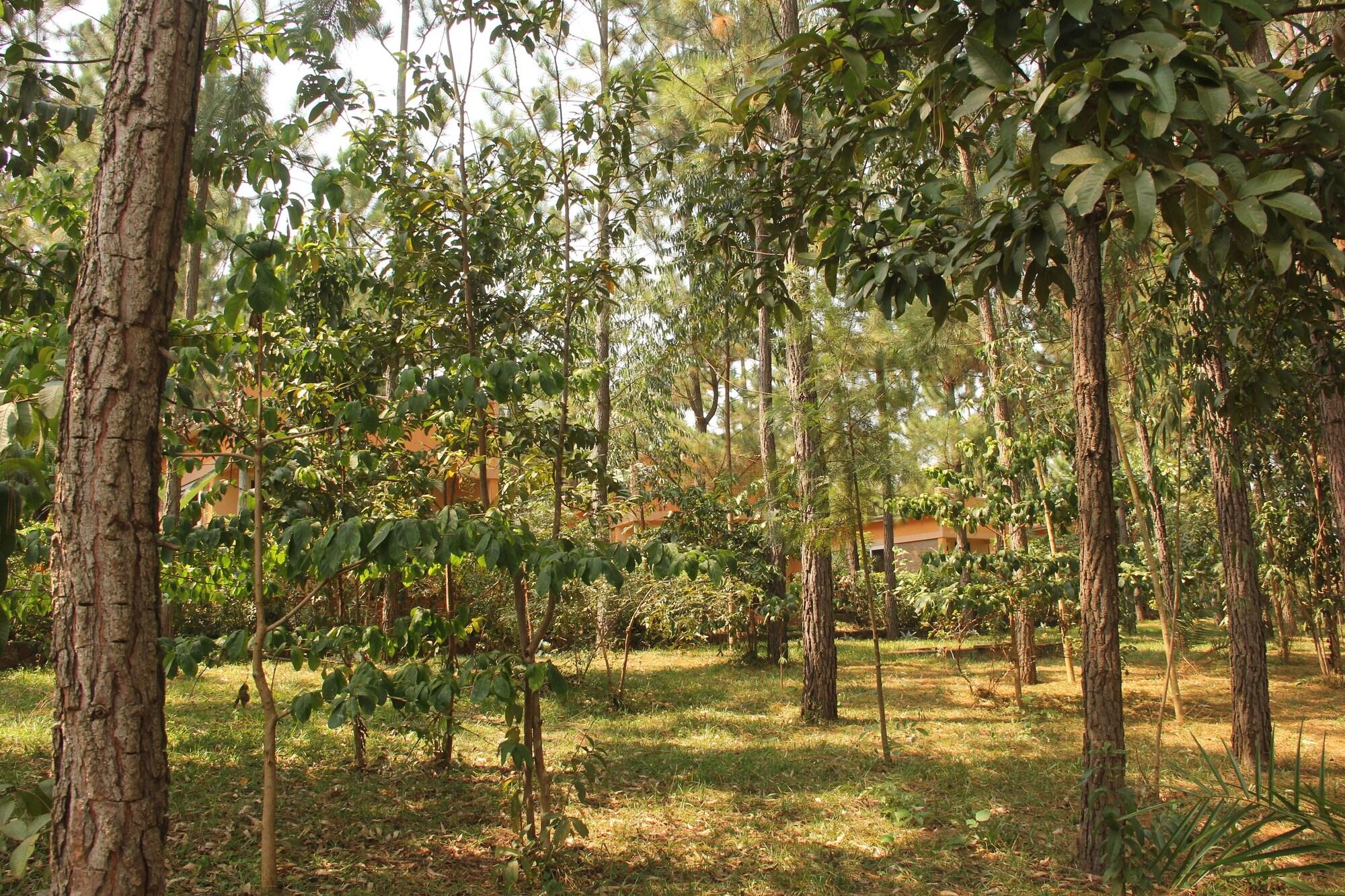 Instalaciones Recreativas Saltek Forest cottages