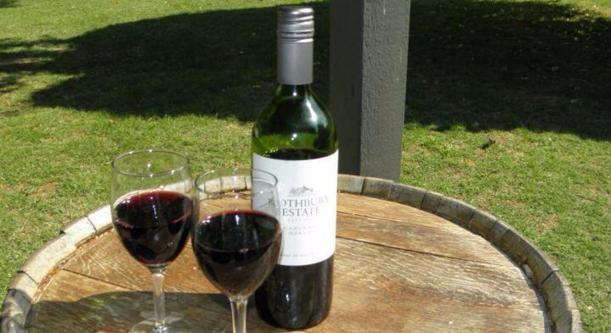 Bar/Salón High Country Motor Inn