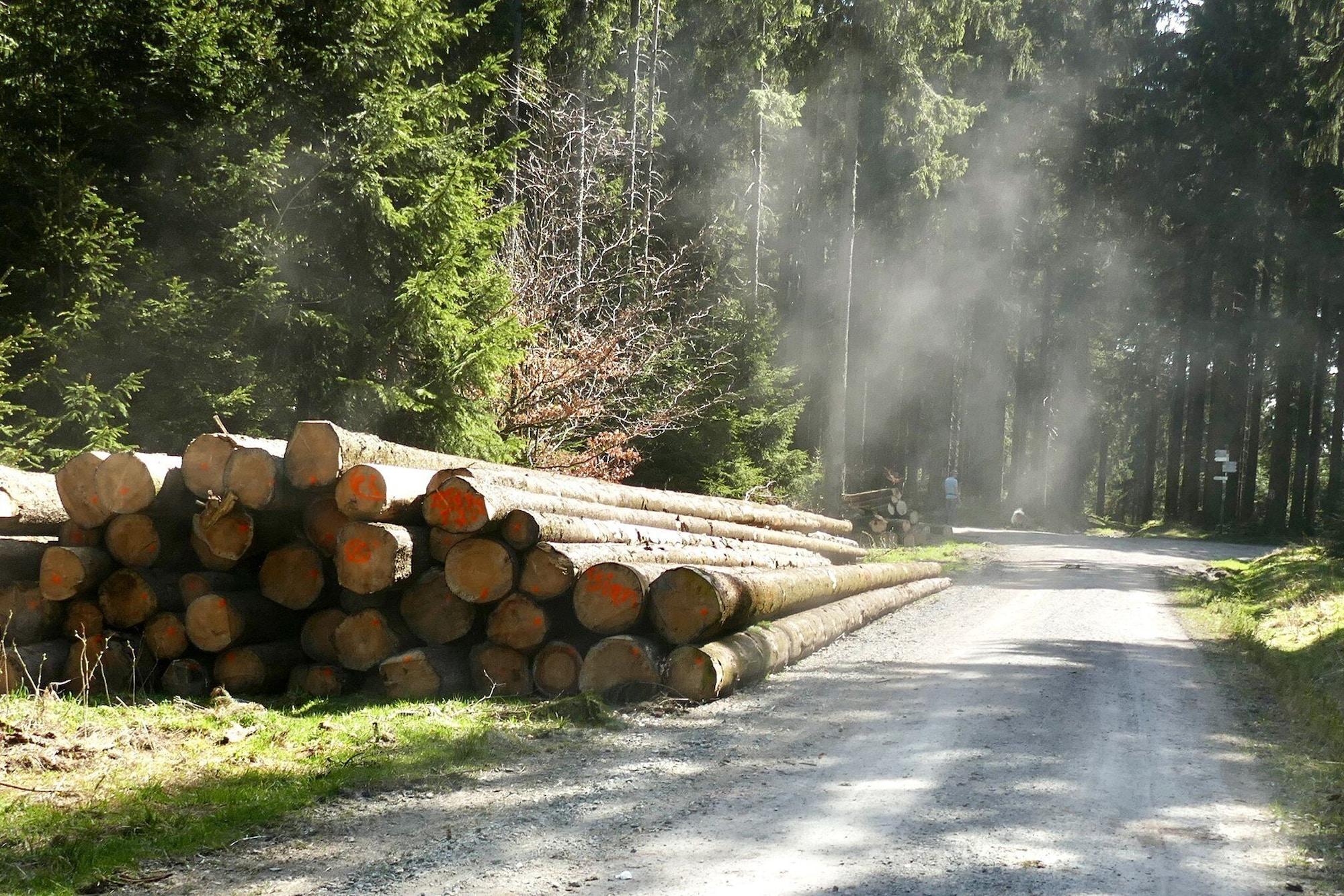 Instalaciones Recreativas Pension Robin Hood