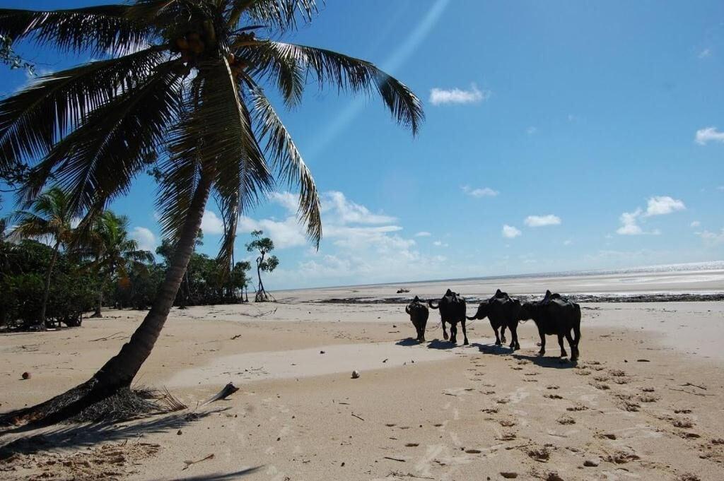 Playa Pousada Asa Branca