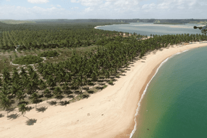 Actividad - Tour Playa do Gunga