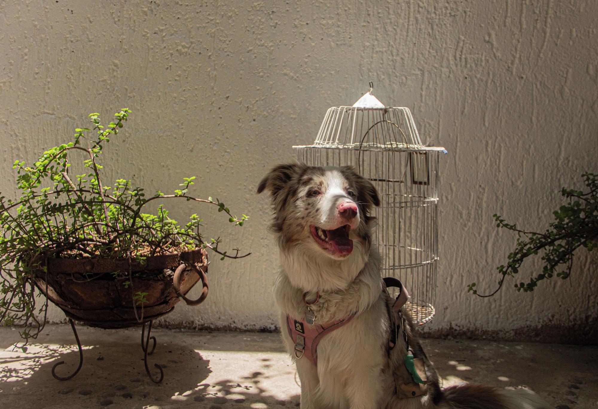 Equipamiento de Habitación El Pinche Hostal