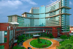 Alojamiento - Jin Jiang Pine City Hotel