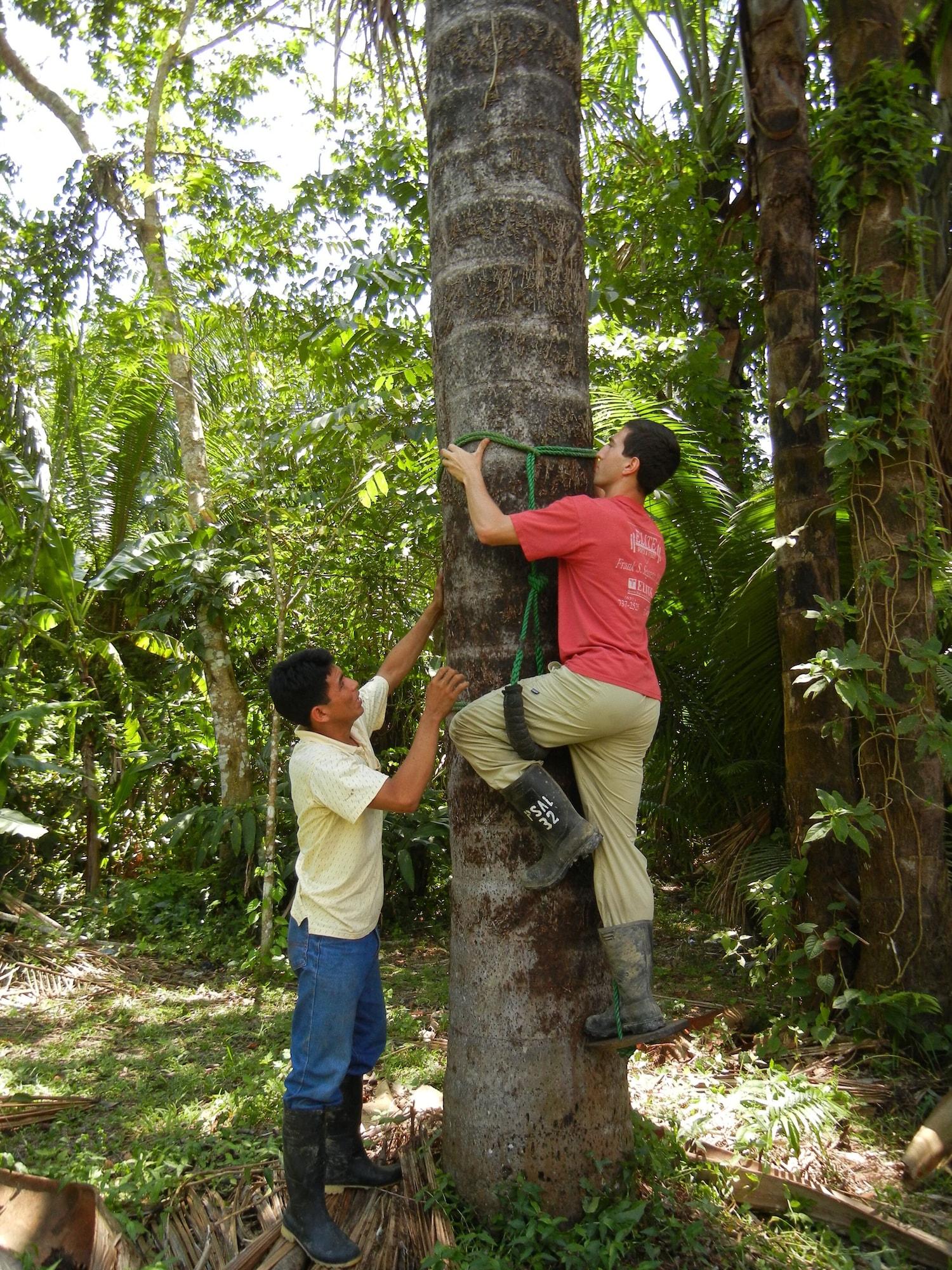 Instalaciones Recreativas Pacaya Samiria Amazon Lodge