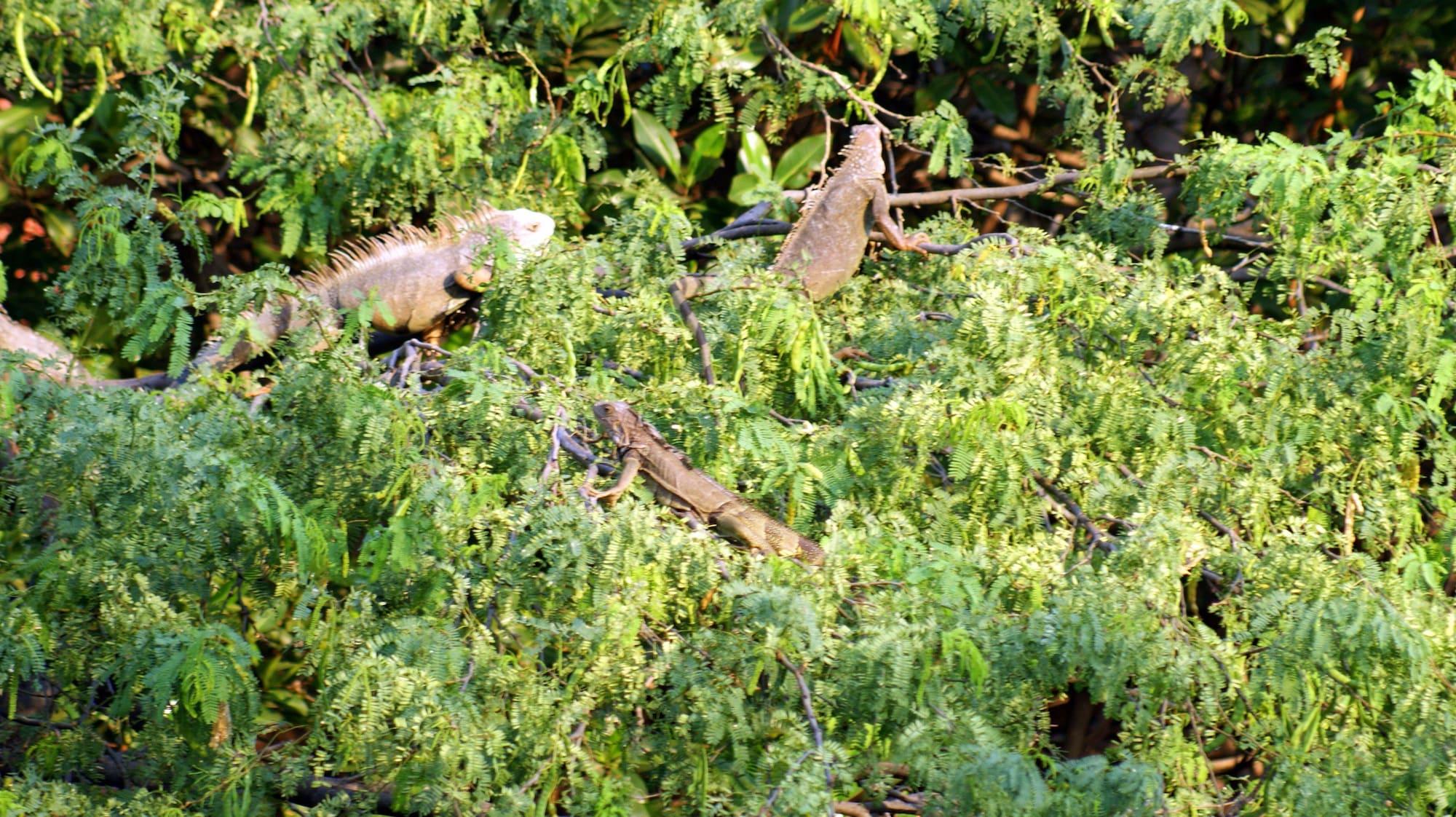 Vista Exterior Casa La Escollera