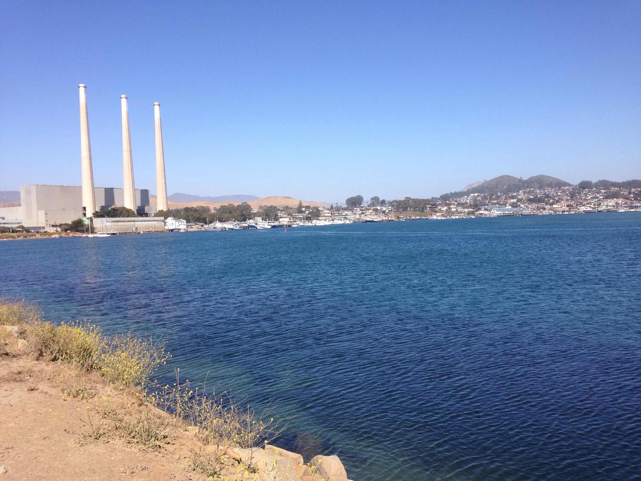 Playa Rockview Inn and Suites