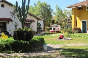 Actividad - Combo de un dia Granja Porcon + Collpa