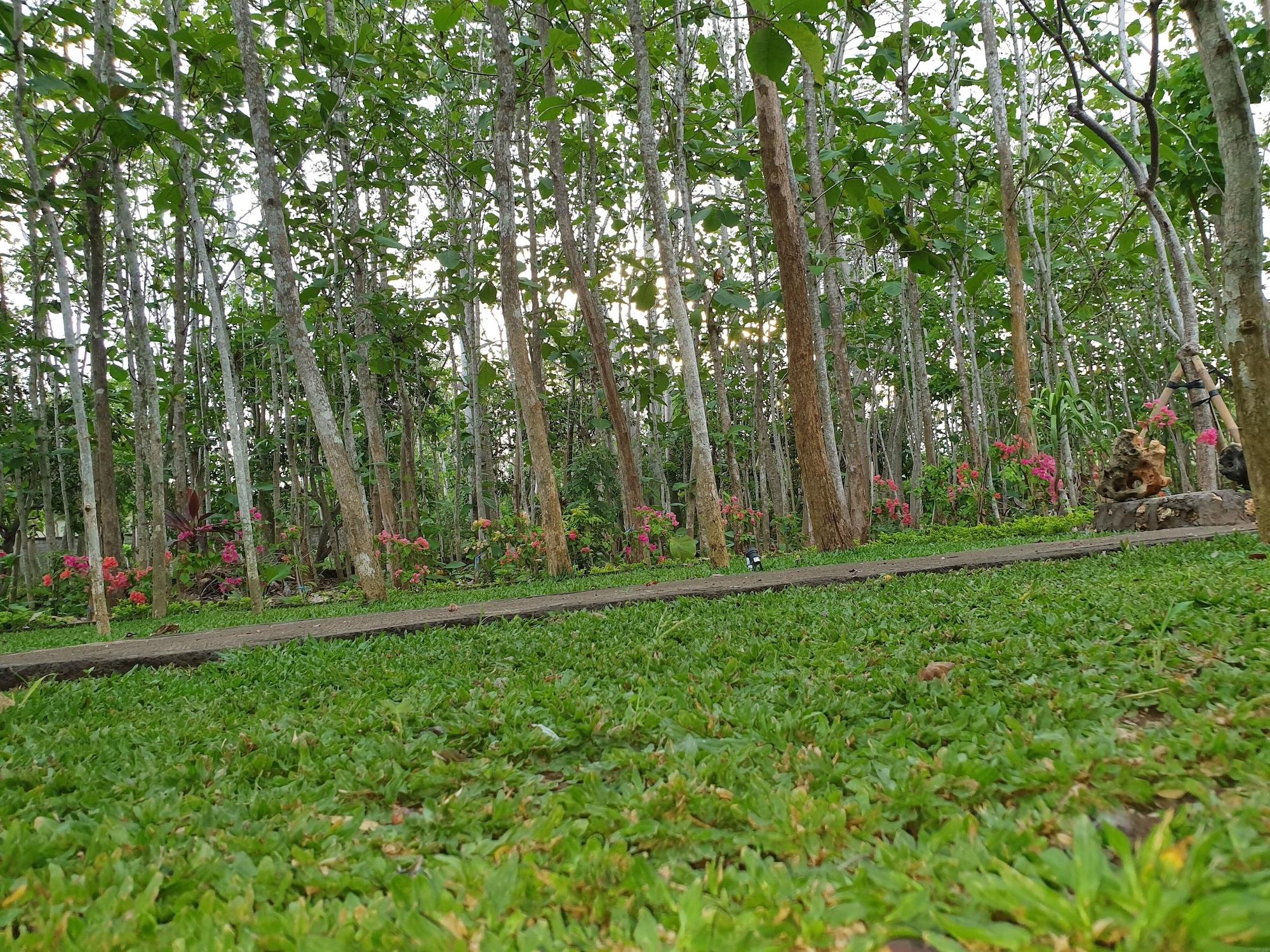 Vista Exterior Medori Putih Homestay