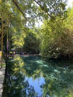 Alojamiento - Yuvarlakcay Cinar Butik Otel