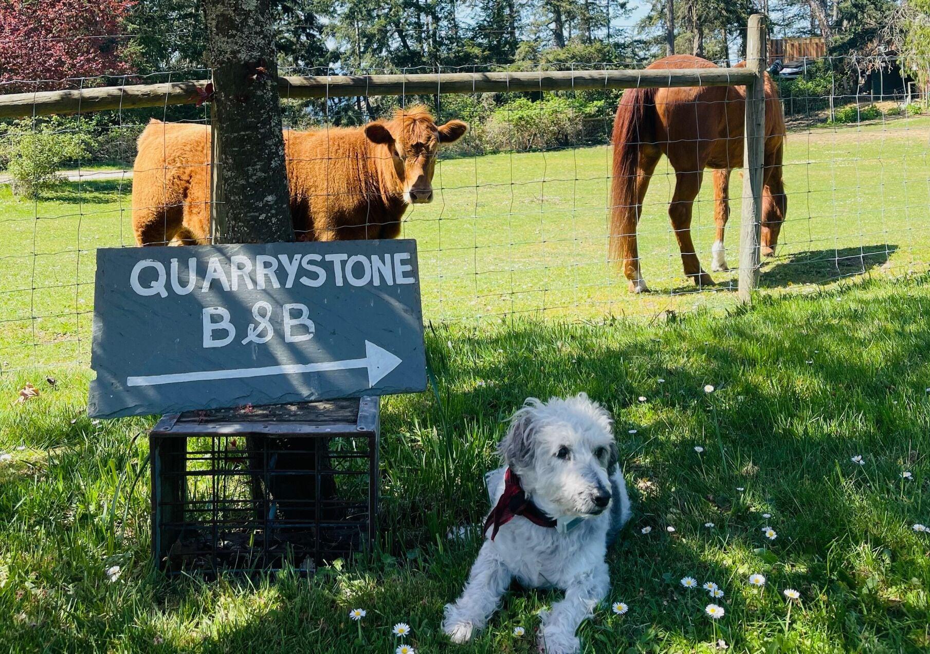 Varios Quarrystone House B&B