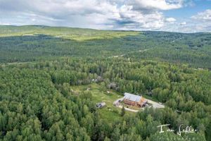 Alojamiento - Alaska Grizzly Lodge
