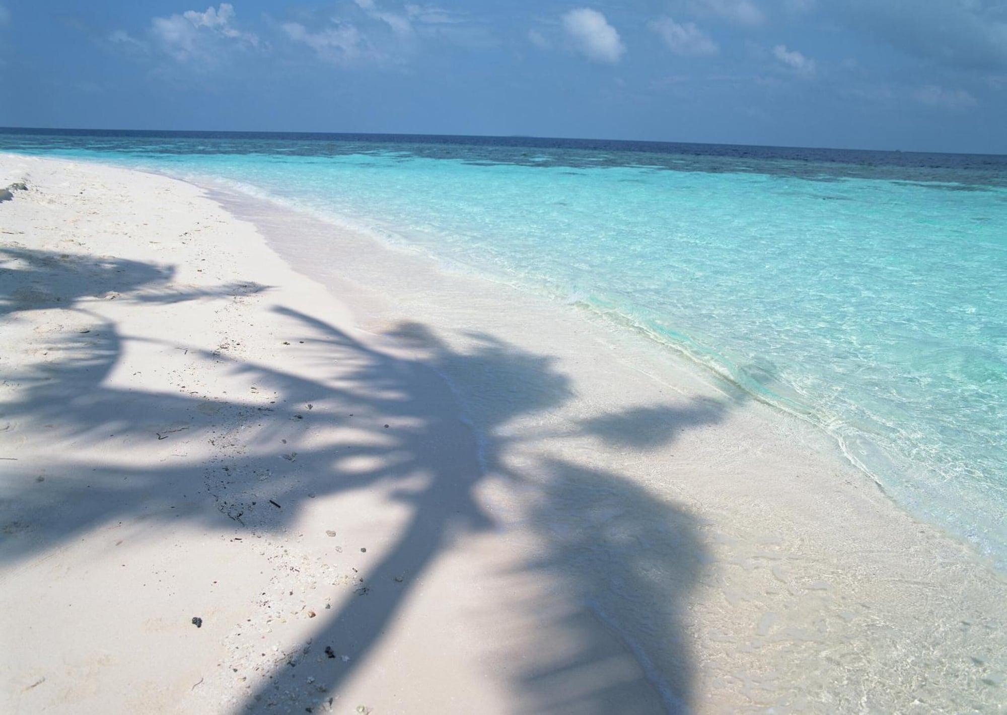Playa Native Sea Amami