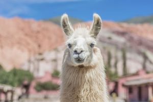 Actividad - Día completo a La Quebrada de Humahuaca