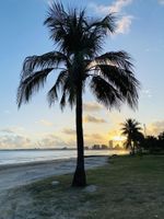 Alojamiento - Ritz Suítes Flat de Temporada beira mar
