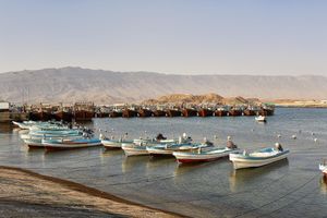 Alojamiento - Salalah Gardens Hotel Managed by Safir Hotels & Resorts