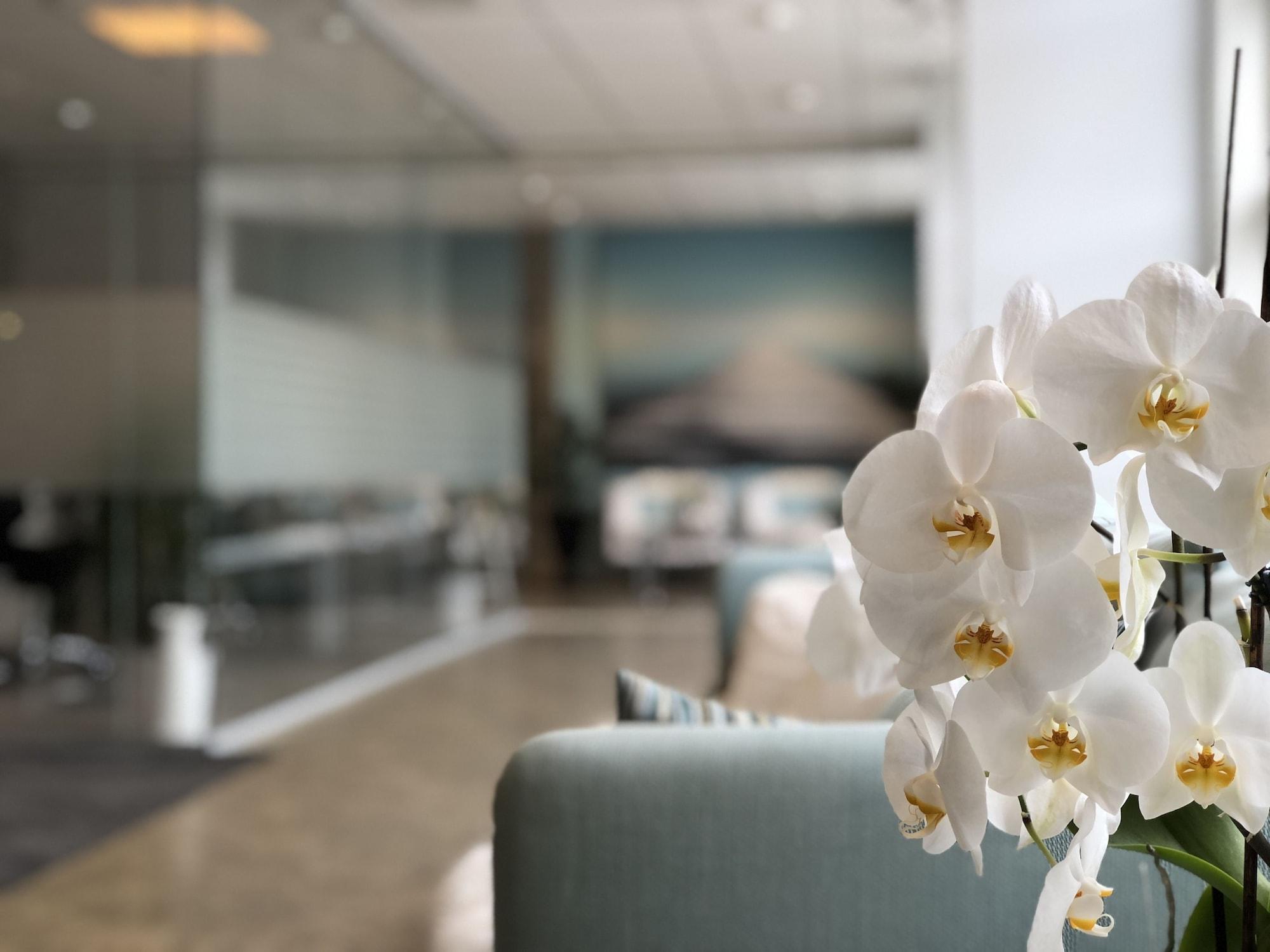 Vista Lobby Kongsvinger Budget Hotel