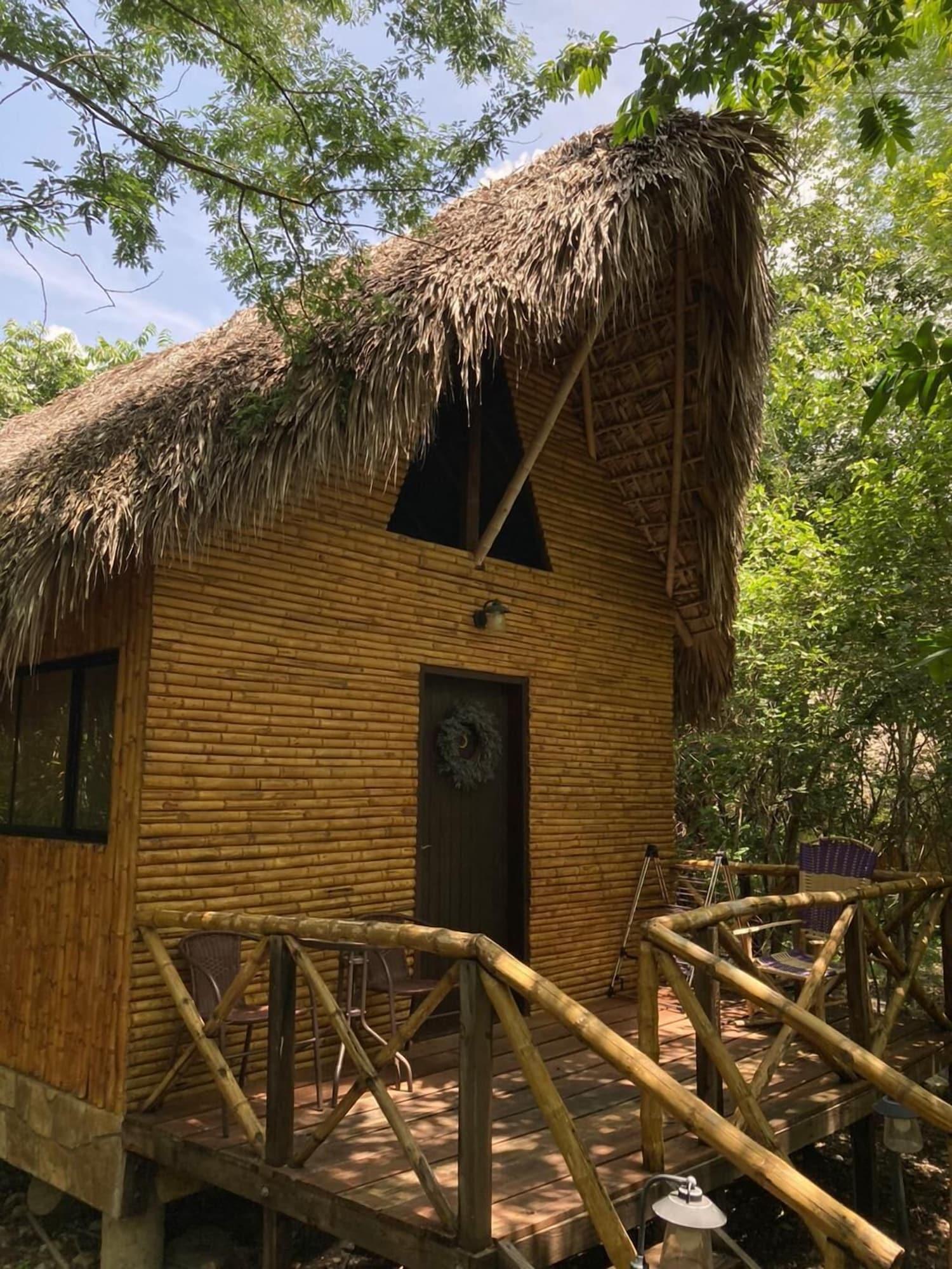 Vista Exterior Selva Teenek