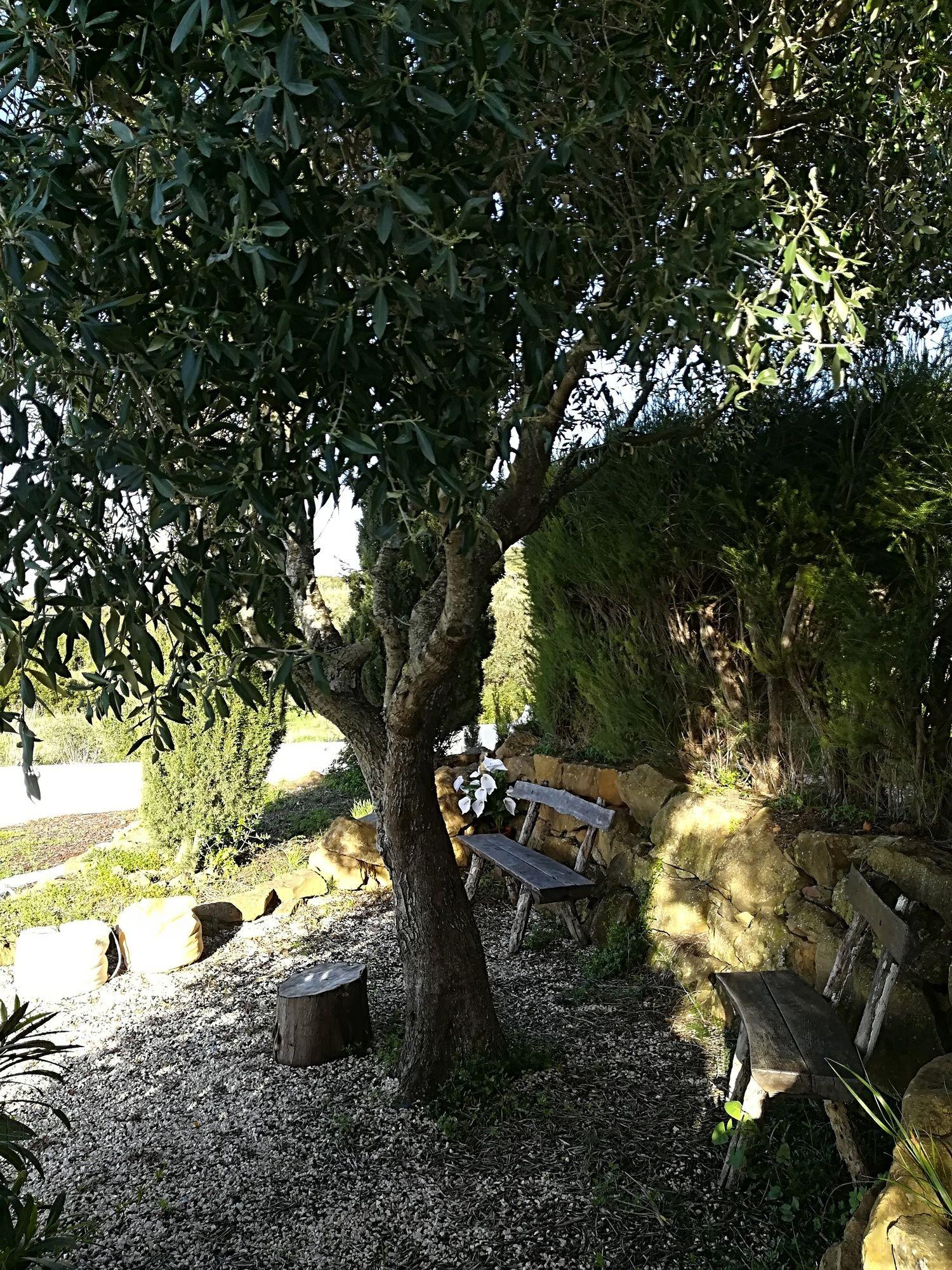 Vista Exterior Quinta da Falcoeira