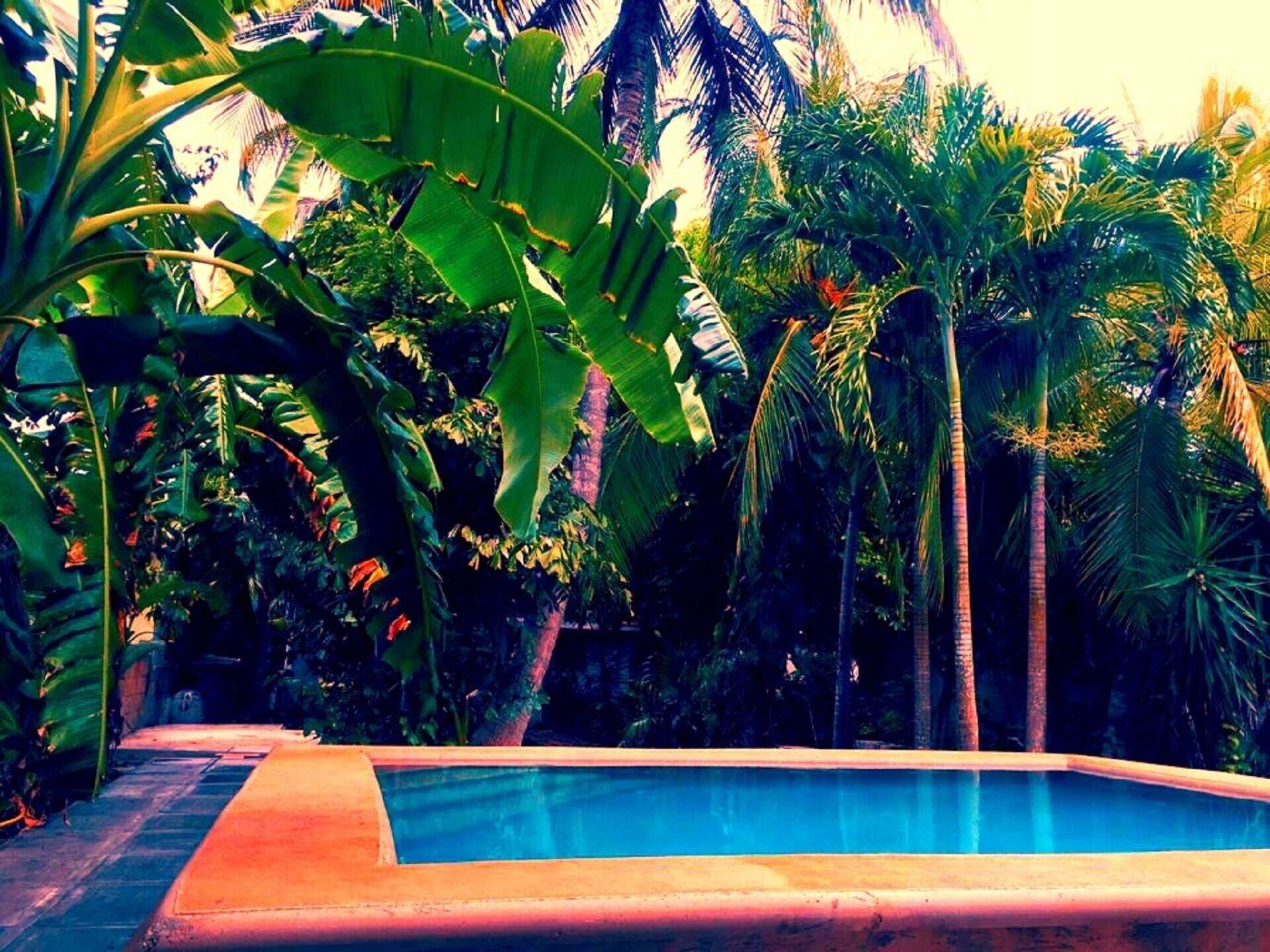 Vista Piscina Hostal y Camping Villa Mercedes