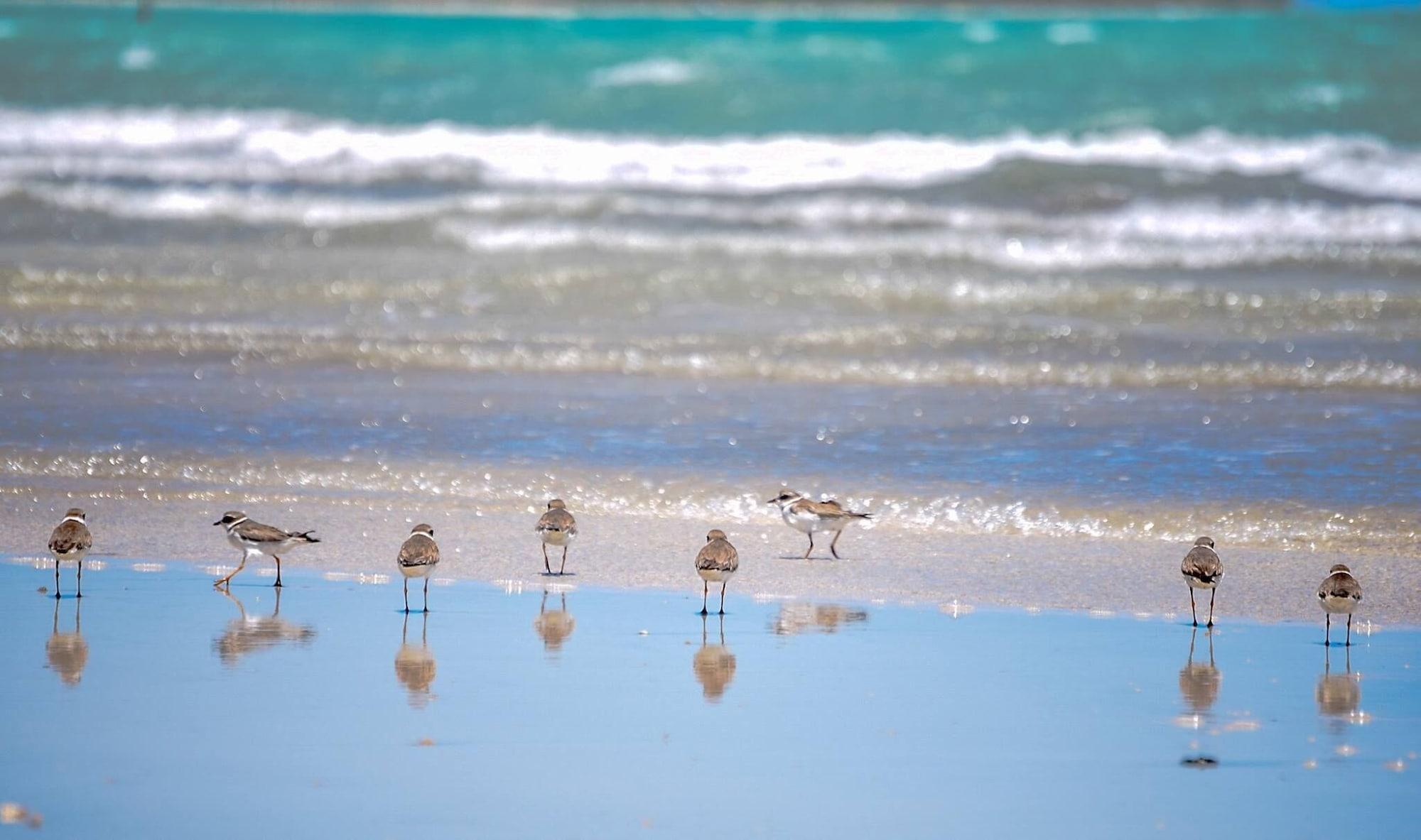 Playa Pousada Marceneiro