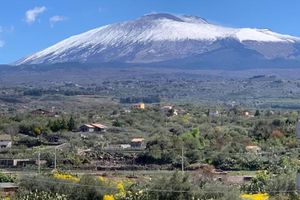 Alojamiento - The Lux