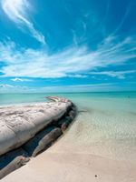 Alojamiento - Whyknot Holbox