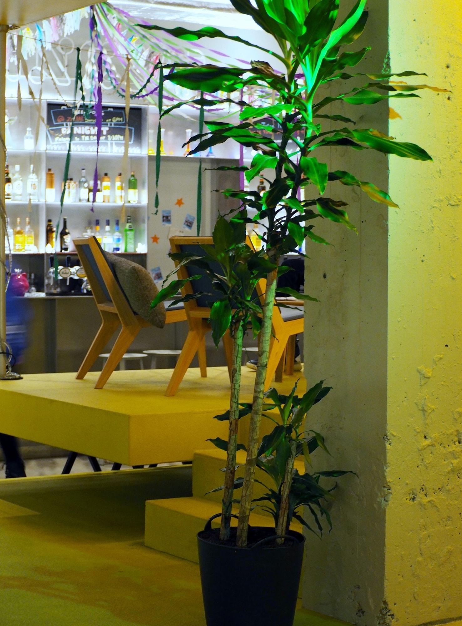 Bar/Salón ClinkNOORD - Hostel