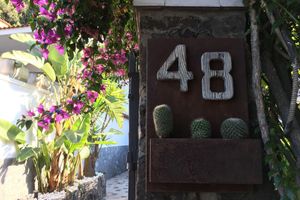 Alojamiento - Black Market Hotel