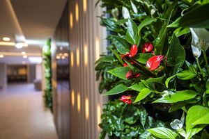 Alojamiento - Greenfield Hotel Golf & Spa