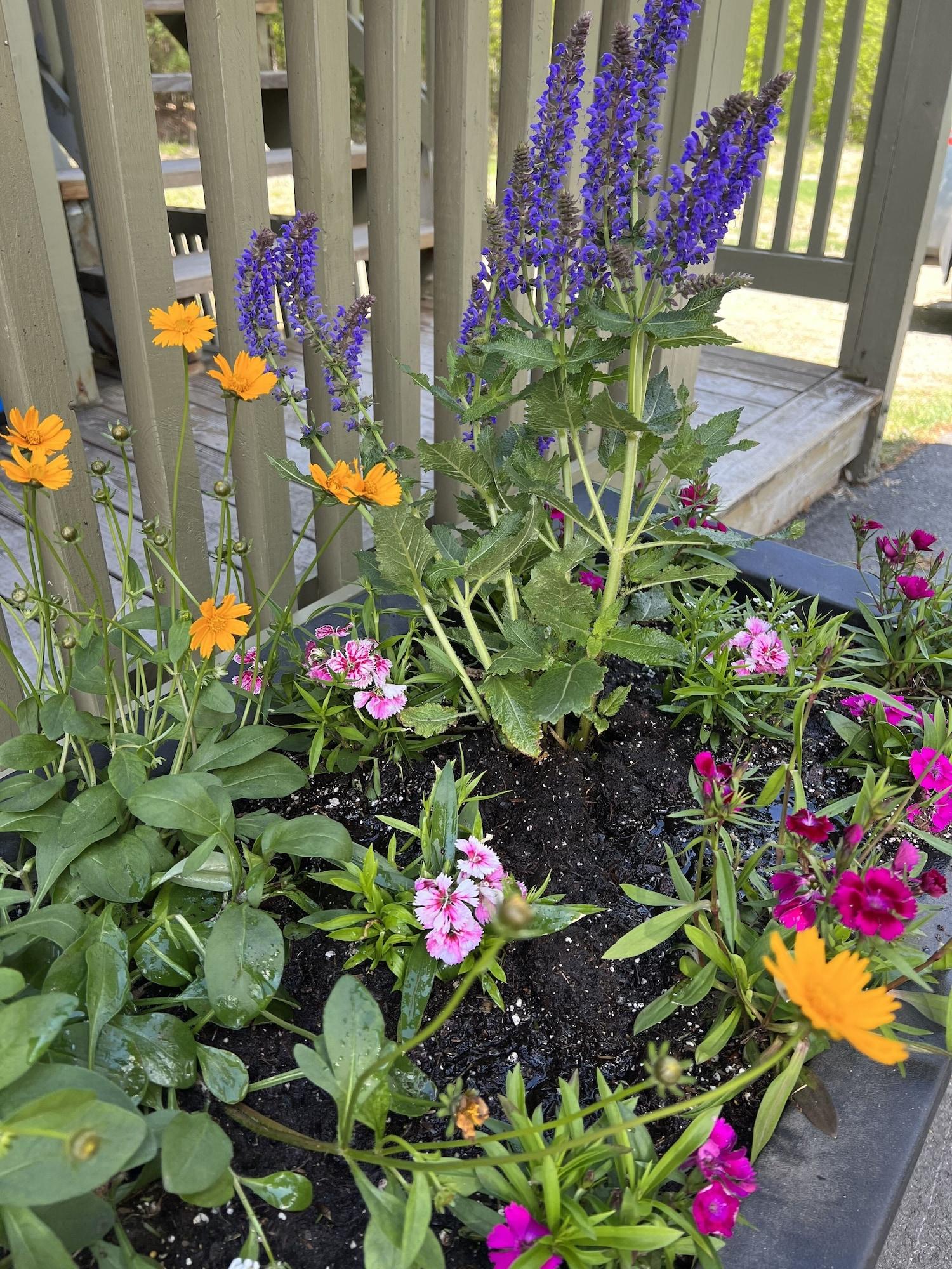 Vista Lobby Moose Mountain inn