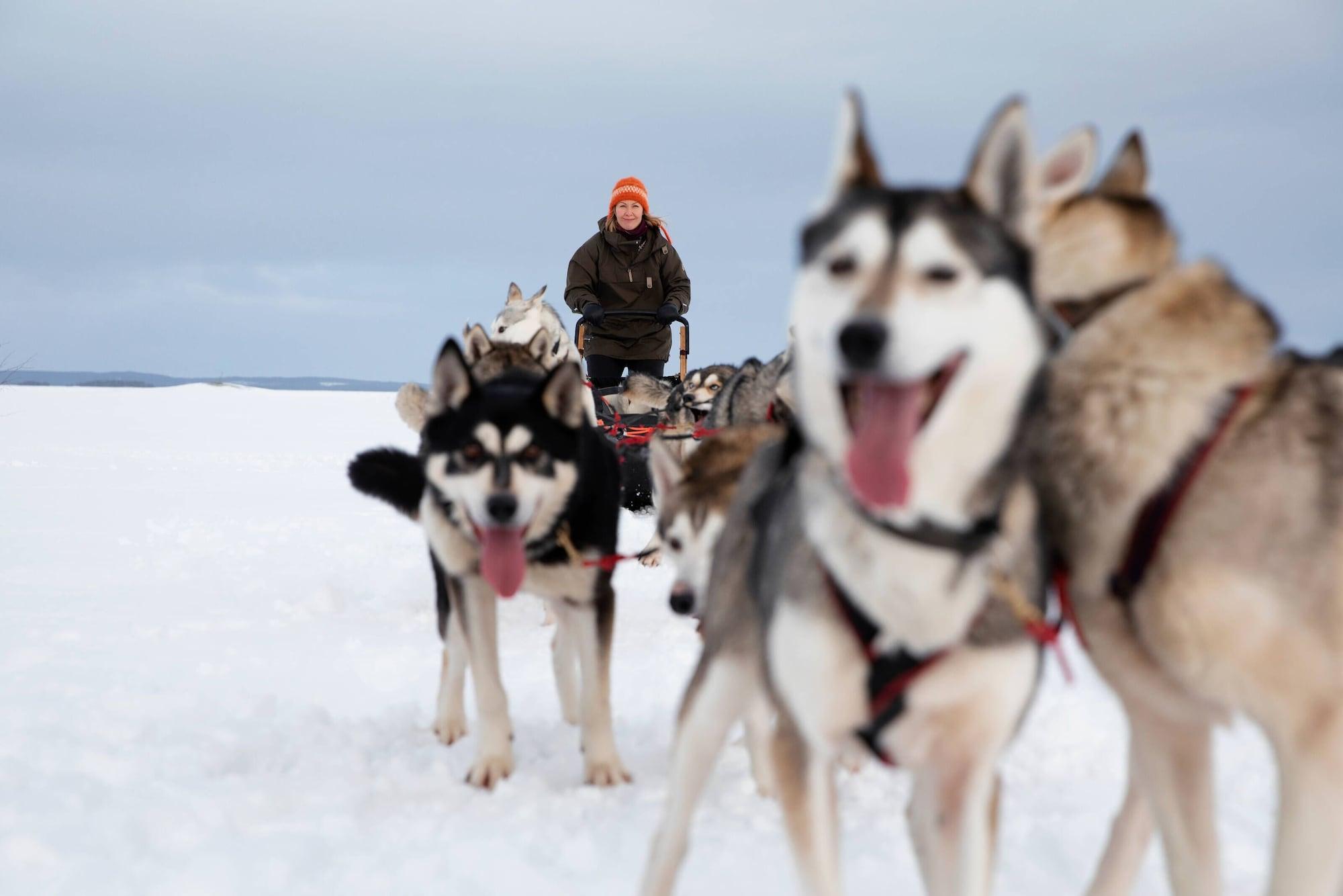 Instalaciones Recreativas Balder Luxury Lodge & Glass Igloos
