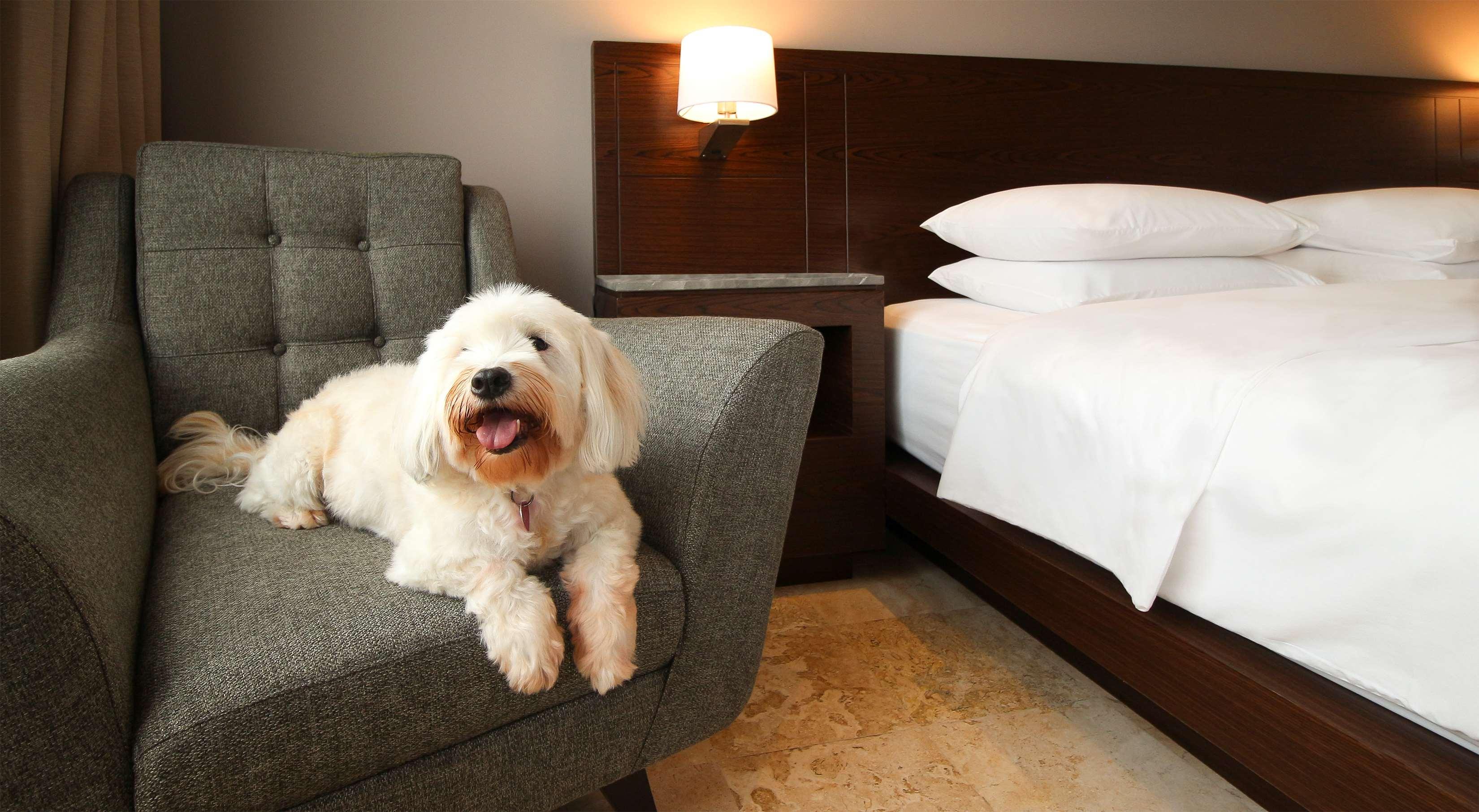 Habitación Hyatt Regency Villahermosa
