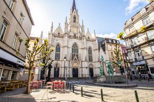 Actividad - Descubre Bruselas en 60 minutos con un guía local - Recorrido a pie en grupo pequeño