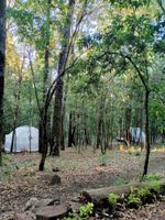 Alojamiento - Glamping Don Delfis