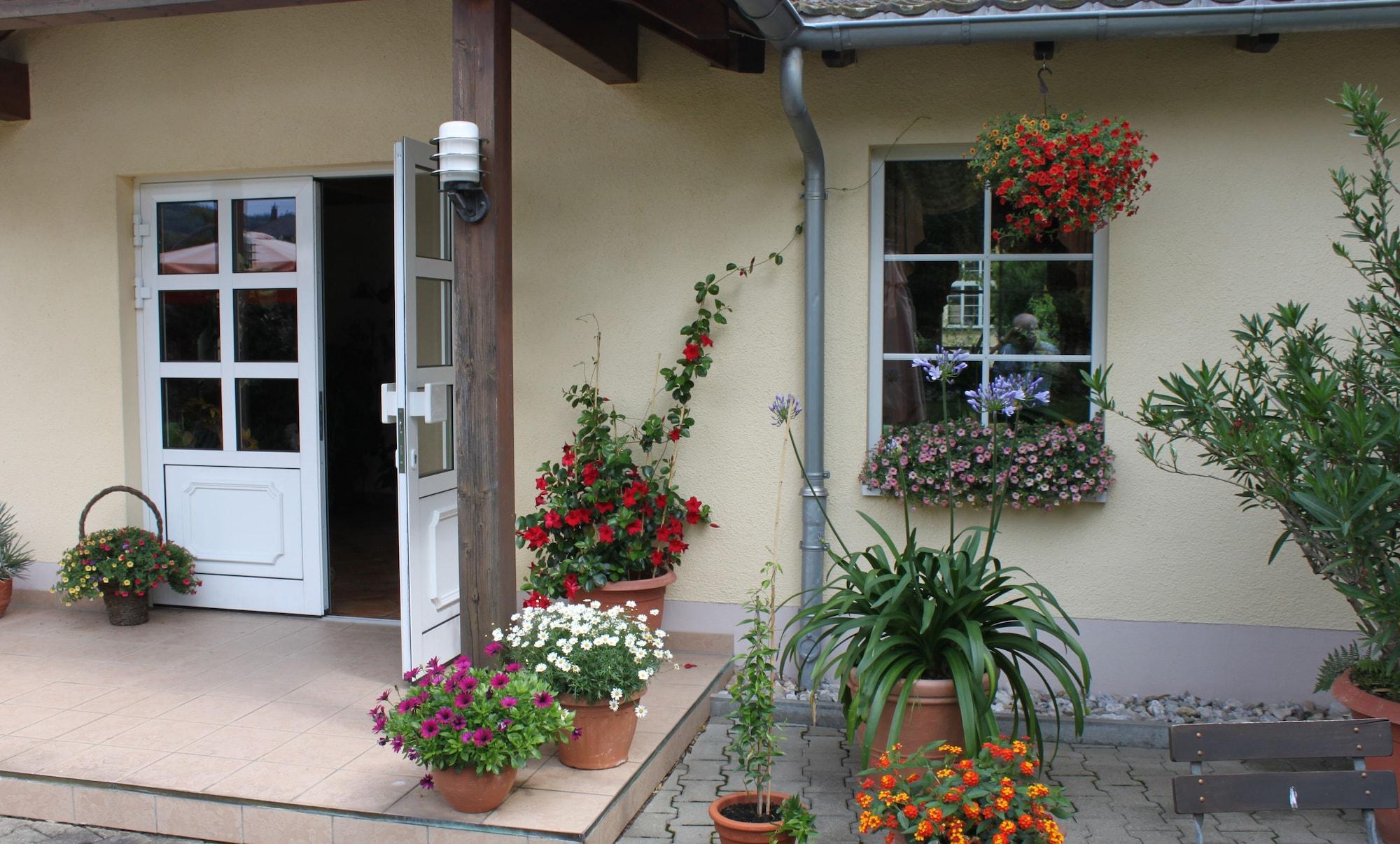Vista Exterior Landhotel Pockau